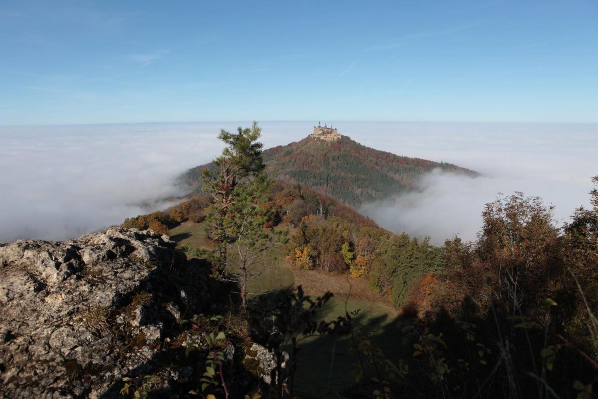 Ferienwohnungen Beim Imker Mossingen Bagian luar foto